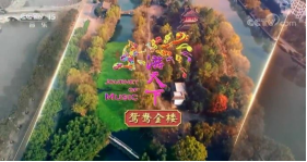 三肖三期必出